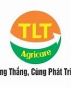 Công Ty Tnhh Mtv Hoàng Thiên Vũ Bảo Lộc Tuyển Dụng Thực Tập Sinh