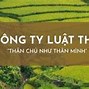 Luật Sư Nguyễn Bá Tùng