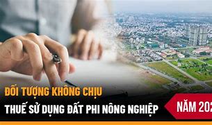 Thuế Đất Nông Nghiệp Năm 2023